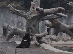 -宁波野生动物园