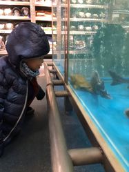 -神拿世家小儿推拿(立水桥店)