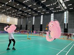 -深圳大运中心世界冠军羽毛球馆