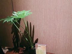 -许家菜(DT51店)