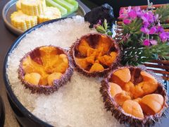 海胆刺身-官也街澳门火锅(新源里店)