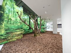 -极简口腔(总院)
