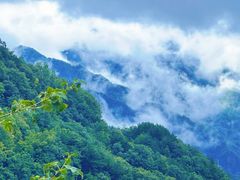 -牛背梁国家森林公园