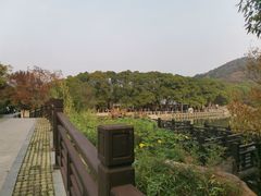 -白马涧龙池景区