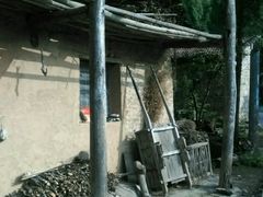 -黑河国家森林公园