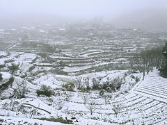 -四明山国家森林公园