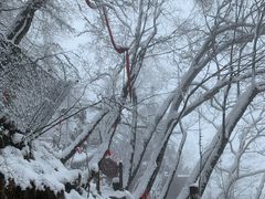 -塔云山