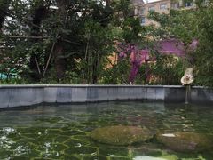 -徐州乐园加勒比水世界