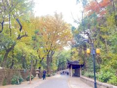 -灵岩山风景区