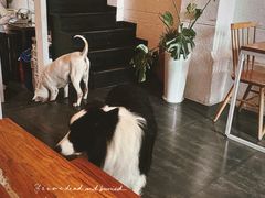 -Egg•Allday Brunch(襄阳北路店)