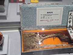 -北京中医药大学-中医药博物馆