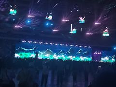 -海心沙亚运公园