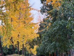 -唐城墙遗址公园