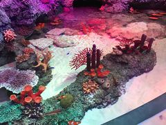 -沈阳海洋探索中心