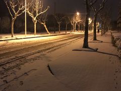 -同济大学(嘉定校区)