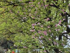 -兰亭风景区
