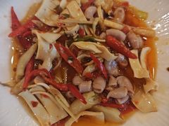 -陈麻婆豆腐总店