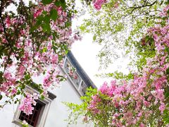 -深圳国际园林花卉博览园