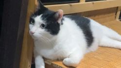 -挪娅婚纱摄影皇家会所