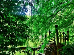 -深圳国际园林花卉博览园