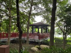 -广东花都湖国家湿地公园