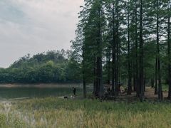 -青龙山国家森林公园