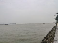 -大湾区中央湿地公园