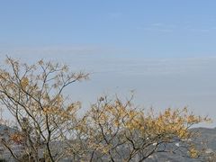 -大罗山风景区