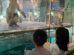 -帝企鹅自助餐厅•儿童岛•真企鹅(长隆企鹅酒店)