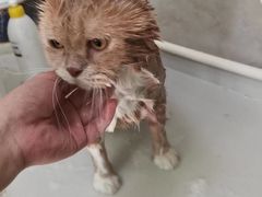 -沐沐家宠物(成寿寺店)