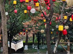 -天目湖山水园