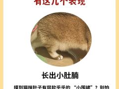 -泰洋动物医院·神经专科·磁共振·CT(天河公园总院)
