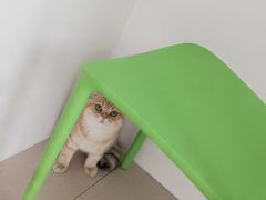 -佳雯宠物医院·皮肤科·内外科(春晓路分院)