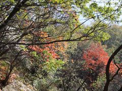 -秦岭终南山世界地质公园翠华山景区