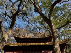 -普陀山风景名胜区-法雨禅寺