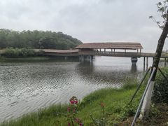 -东莞市大岭山森林公园