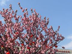 -观山湖公园