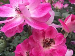 -人民公园(罗湖区)