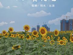 -光明小镇欢乐田园