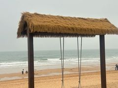 -日照海滨国家森林公园