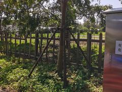 -前小桔亲子创意农场·草莓采摘·露营烧烤