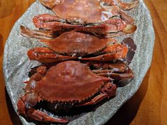 -和源祥·日照菜扛把子(万平口一店)