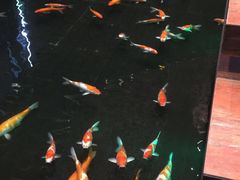 -顺丰国宴(工业博物馆店)