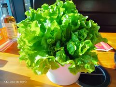 -老诚一锅羊蝎子(黄寺大街店)