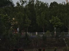 -伊犁河景区