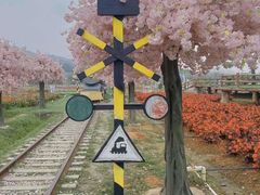 -盈香心动乐园