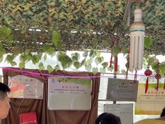 -马陆小张葡萄园农家乐