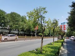 -军嫂饺子馆(岳家寨小区店)