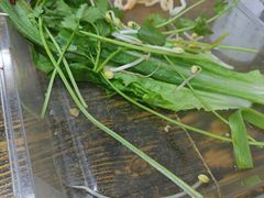 -姐妹辣糊糊(朝阳巷二店)