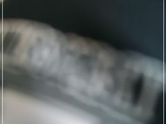 -炭舍干锅·烤鱼(扬名广场店)